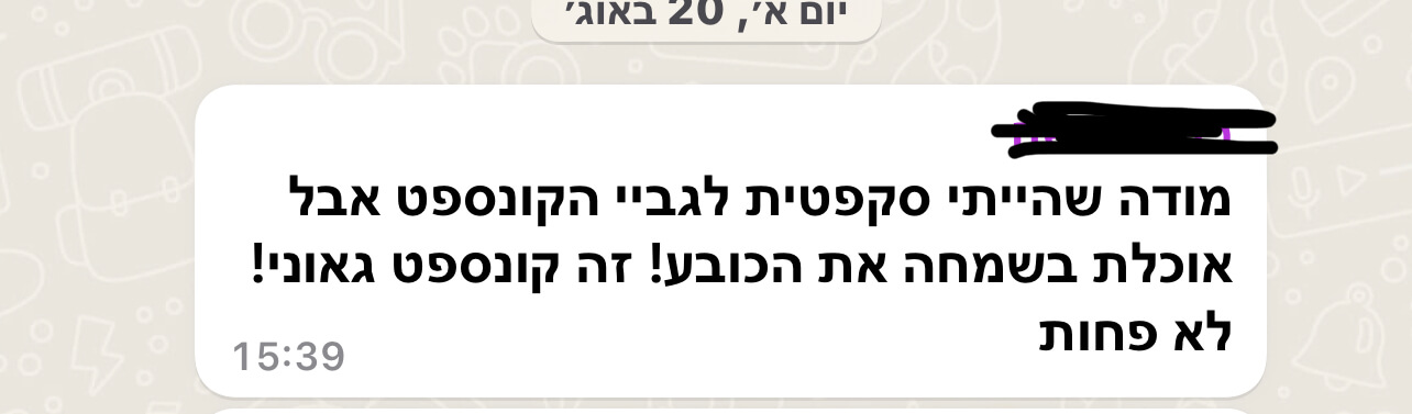 תוכנית סטיילינג